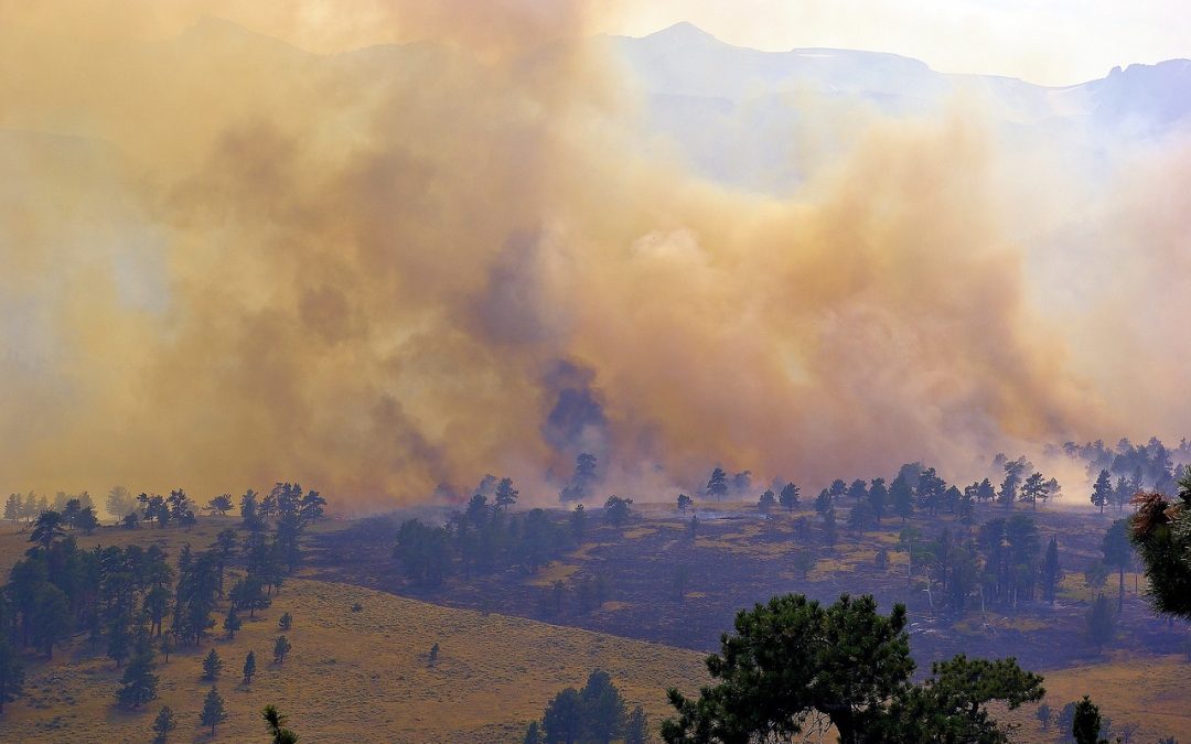 Dinas Damkar Sanggau Sosialisasi Pencegahan di Kantor Camat